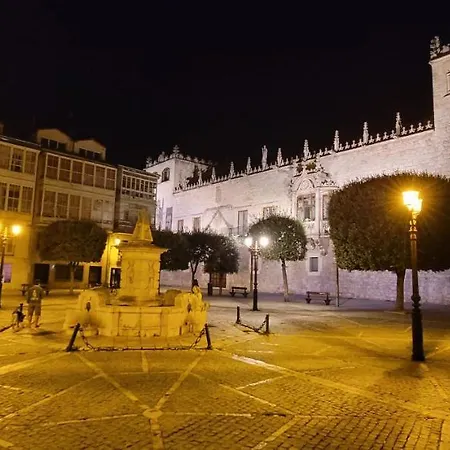 Mía Ii Loft Centro Histórico - Parking&wifi Free * Burgo